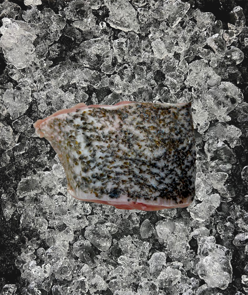 Black Grouper Fillet (石斑鱼肉)