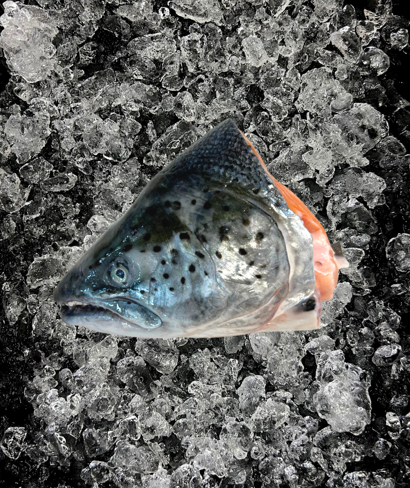 Salmon Head (三文鱼头)