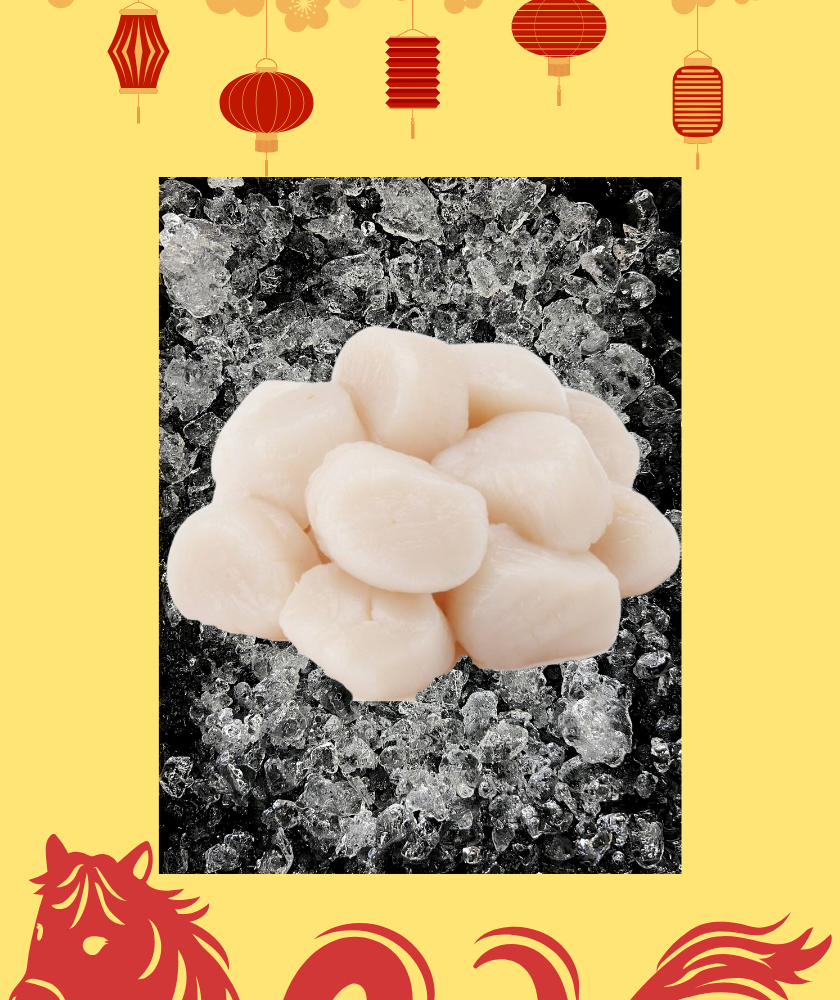 Scallop Meat (澳洲带子) 20/40