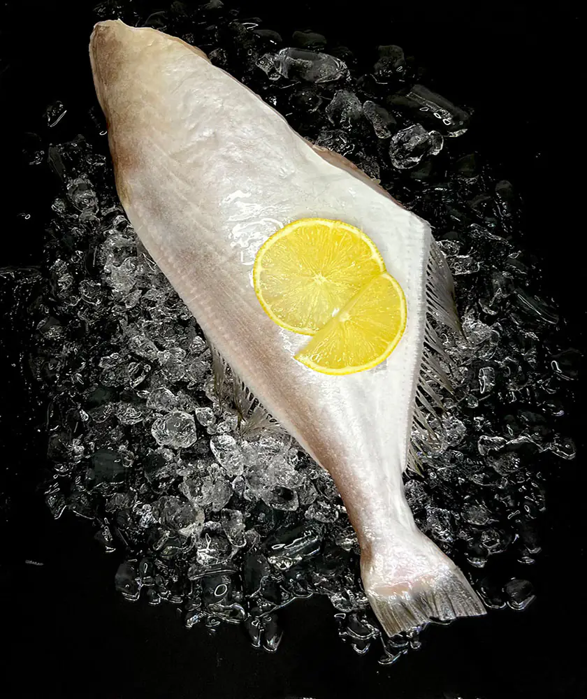 Leatherjacket aka Bak Teik (肉丁鱼)