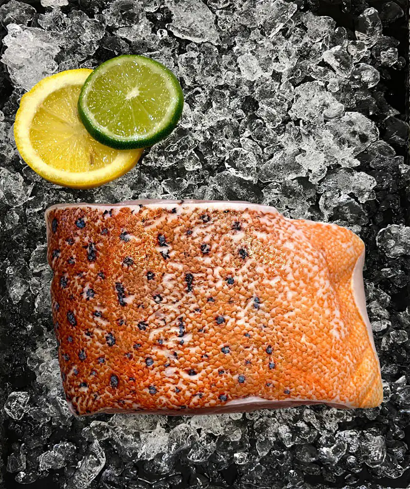 Red Grouper Fillet (红班鱼肉)