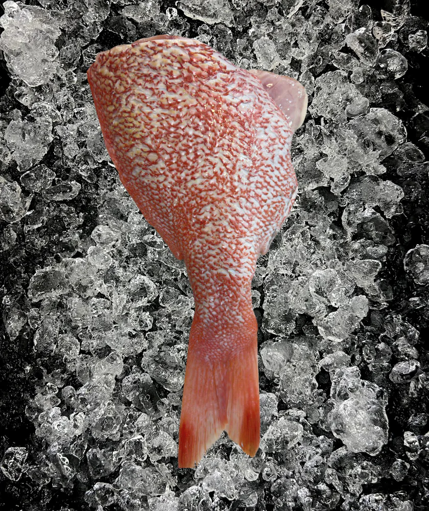 Red Emperor Tail (红狮尾肉)